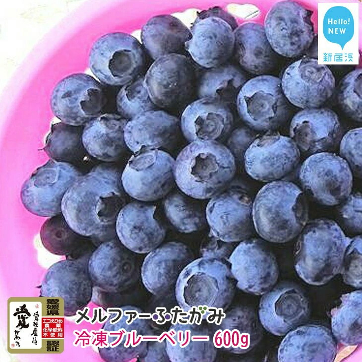 【ふるさと納税】【先行予約】 完熟ブルーベリー600g（冷凍）毎年人気の冷凍ブルーベリーです メルファーふたがみ