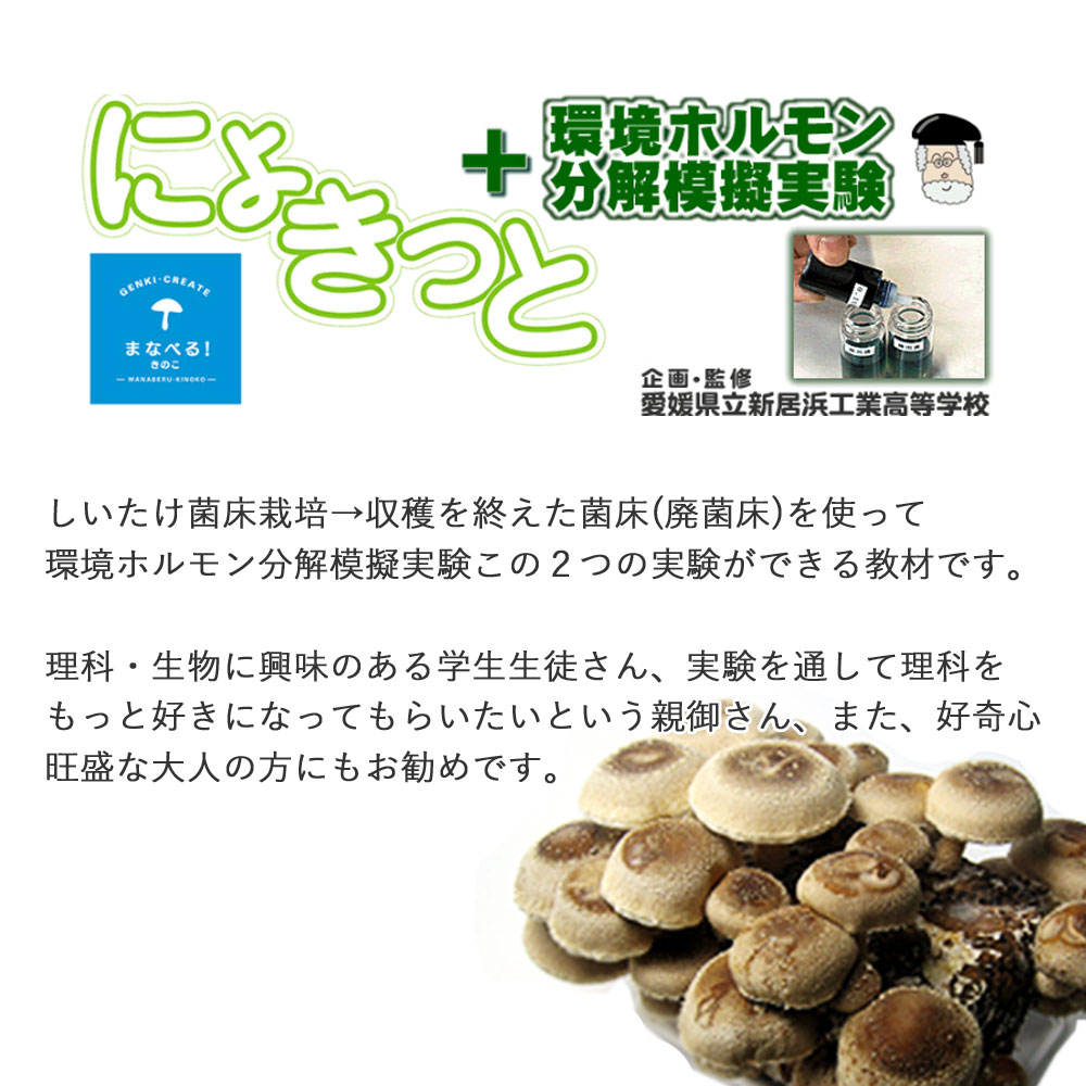 楽天市場 ふるさと納税 食べられる 学べる しいたけ栽培 環境ホルモン分解模擬実験キット 愛媛県新居浜市