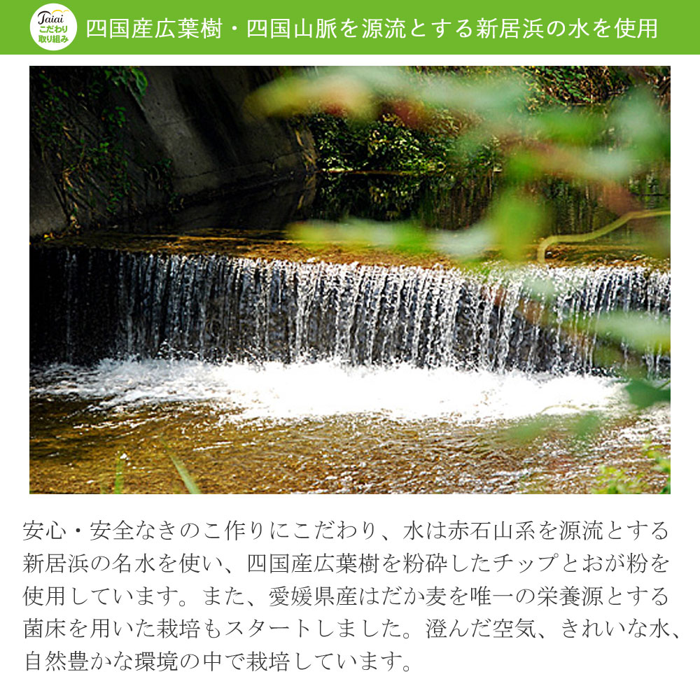 ふるさと納税 採れたて新鮮定期便 Kg ヵ月 厳選 新居浜産菌床生しいたけ Kgを毎月お届け 合計 回 Movilesgarcia Com