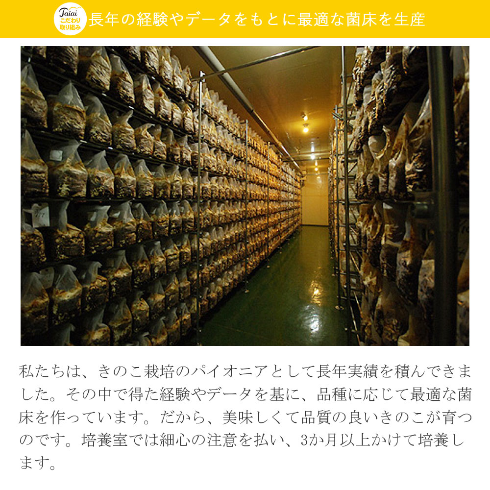 ふるさと納税 採れたて新鮮定期便 Kg ヵ月 厳選 新居浜産菌床生しいたけ Kgを毎月お届け 合計 回 Movilesgarcia Com
