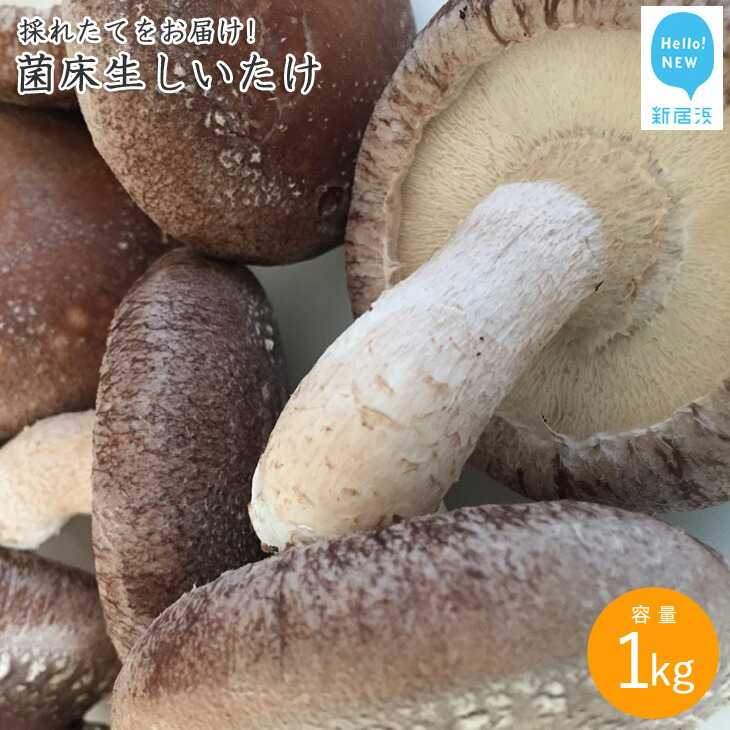 【ふるさと納税】厳選！！新居浜産菌床生しいたけ １kg