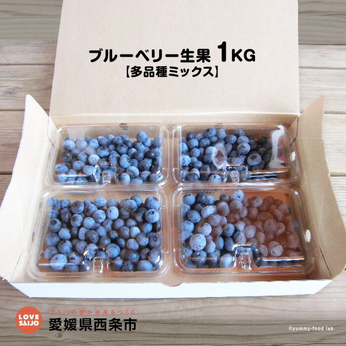 ふるさと納税 超話題新作 無料配達 ブルーベリー生果 1KG 多品種ミックス 予約 フルーツ 果物 冷蔵 ※2022年7月下旬から8月末迄に順次出荷