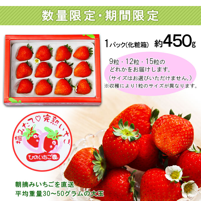 楽天市場 ふるさと納税 予約受付 摘みたて完熟いちご 雅 化粧箱 約450g 21年11月 12月末迄に順次出荷します イチゴ 苺 冷蔵 Jp 愛媛県西条市