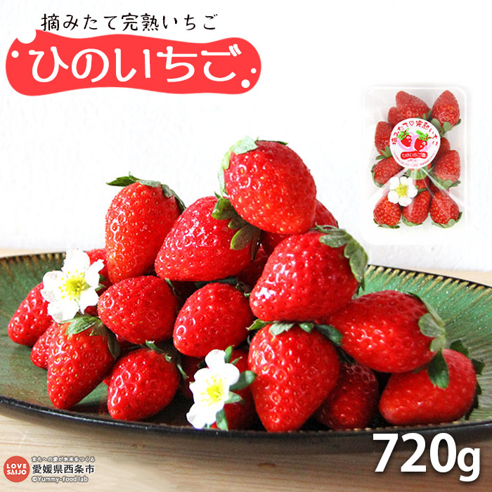 【ふるさと納税】＜摘みたて完熟いちご「ひのいちご」720g（180g×4パック）＞ ※2025年11月末から12月末迄に順次出荷 苺 イチゴ 果物 くだもの フルーツ ストロベリー 新鮮 旬 期間限定 産地直送 ひのいちご園 愛媛県 西条市 【冷蔵】【JP】