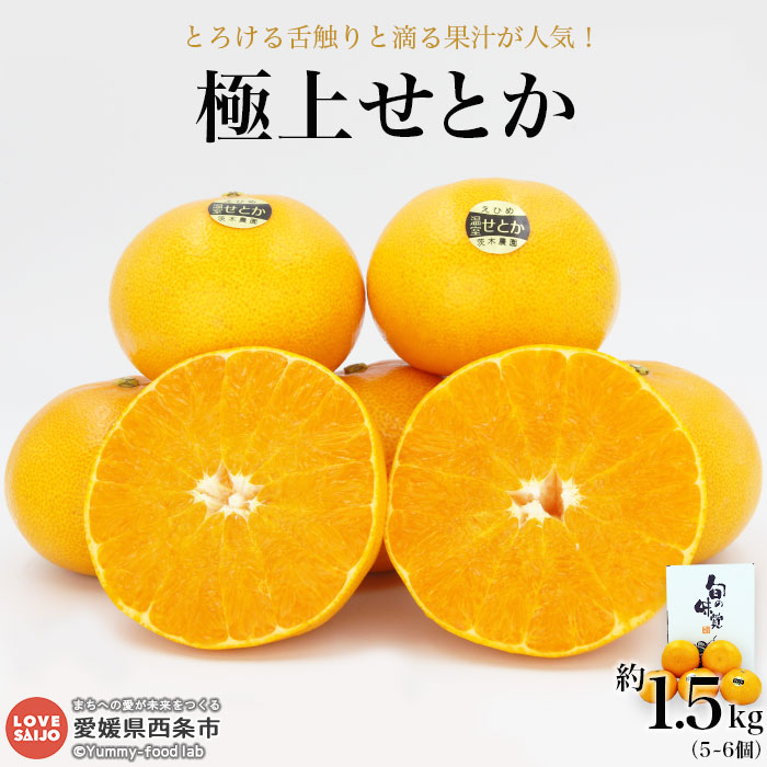 楽天市場】【ふるさと納税】＜「極上せとか」約1.5Kg（2L～3L）＞※2022年2月下旬から3月下旬迄に順次出荷。 贈答 有機肥料 高糖度 みかん  愛媛県 西条市 【常温】：愛媛県西条市