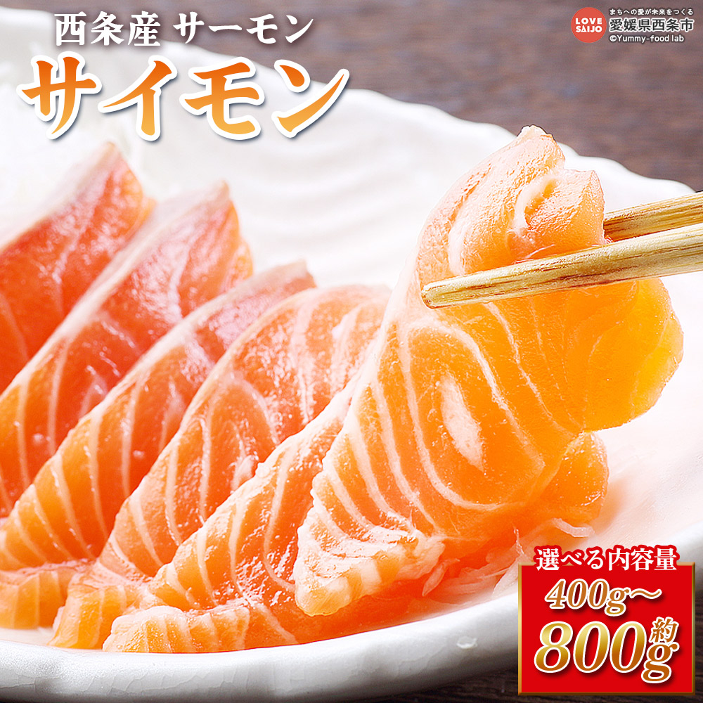 【ふるさと納税】＜西条産サーモン「サイモン」約400g～800g＞ ※2～3か月以内に順次出荷 選べる 内容量 3~4袋セット 6~7袋セット 魚 海鮮 刺身 鮭 サケ シャケ さけ フィレ 魚介類 魚介 真空 小分けパック 陸上養殖 国産 愛媛県 西条市【冷凍】