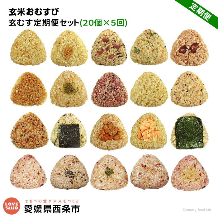【ふるさと納税】＜玄米 おむすび 定期便 20個×5回 ＞- おにぎり 冷凍 鶏 チーズ 鮭 カレー 玄米おむすび玄むす屋 かんこめ 愛媛県 西条市 『※翌月末までに1回目を出荷』