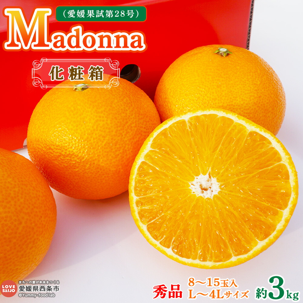 【ふるさと納税】予約受付 まどんな ＜Madonna（愛媛果試第28号） 約3kg 化粧箱 秀品（L～4Lサイズ 8～15玉入)＞ ※2025年12月初旬から2026年1月中旬迄に順次出荷します。マドンナ 柑橘 果物 フルーツ みかん ミカン ギフト 贈答用 贈り物 鴻上農園 愛媛県 西条市 【常温】