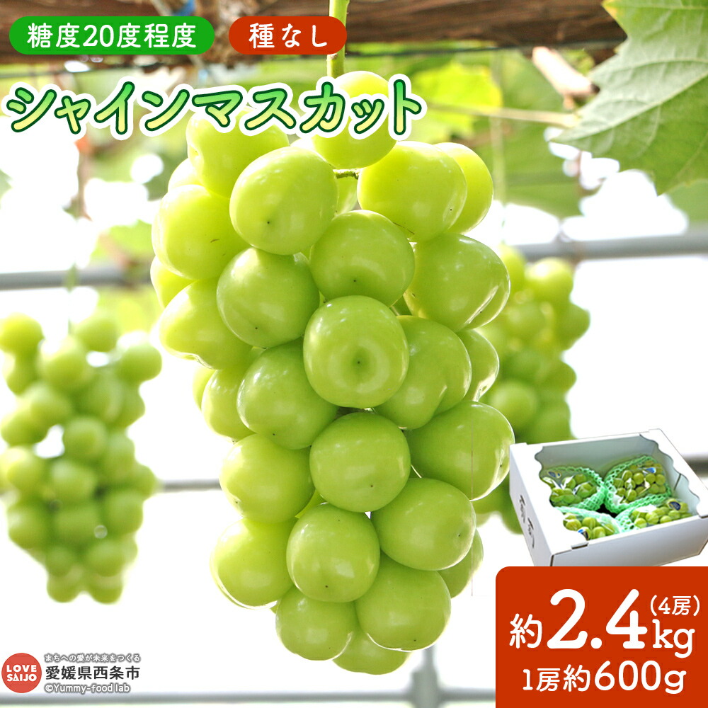 【ふるさと納税】＜シャインマスカット 4房 約2.4kg＞ ※2025年9月上旬から順次出荷します。 ブドウ ぶどう 種無し 種なし 皮ごと食べられる 糖度20度  爽やかな香り 上品な甘み 人気の品種 成熟 大粒 高級 スイーツ 果物 フルーツ 鴻上農園 愛媛県 西条市 【冷蔵】