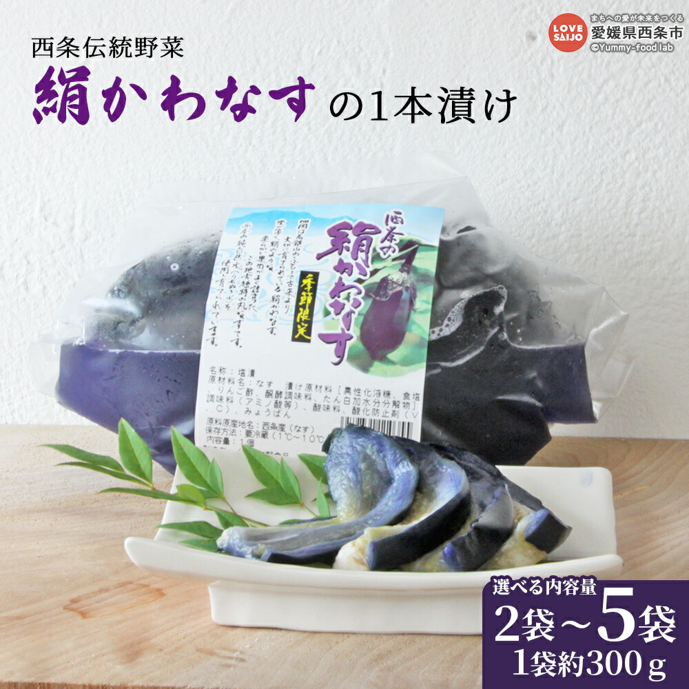 ✨隕石を使った流星のヘアゴム✨セリコ隕石 ギベオン