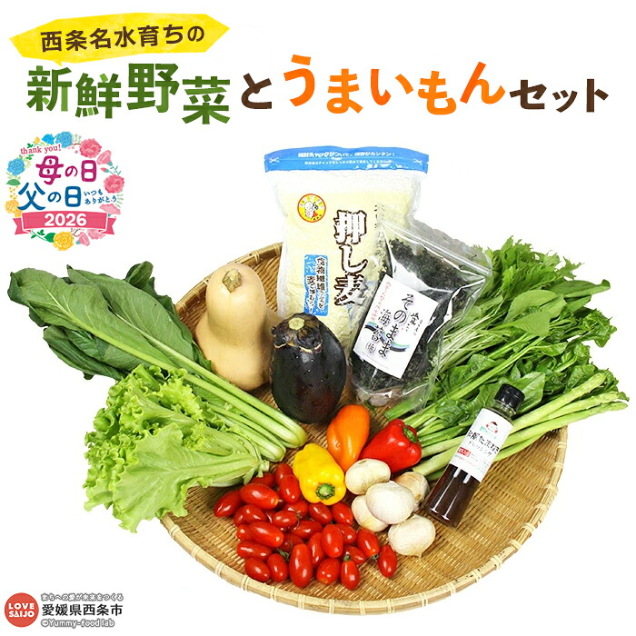 【ふるさと納税】＜西条名水育ちの新鮮野菜とうまいもんセット＞※翌月末迄に順次出荷します。（旬のお野菜と加工品セット）母の日 父の日 やさい ドレッシング 詰め合わせ 産地直送 おまかせ 農産物 国産 愛媛県 西条市【冷蔵】