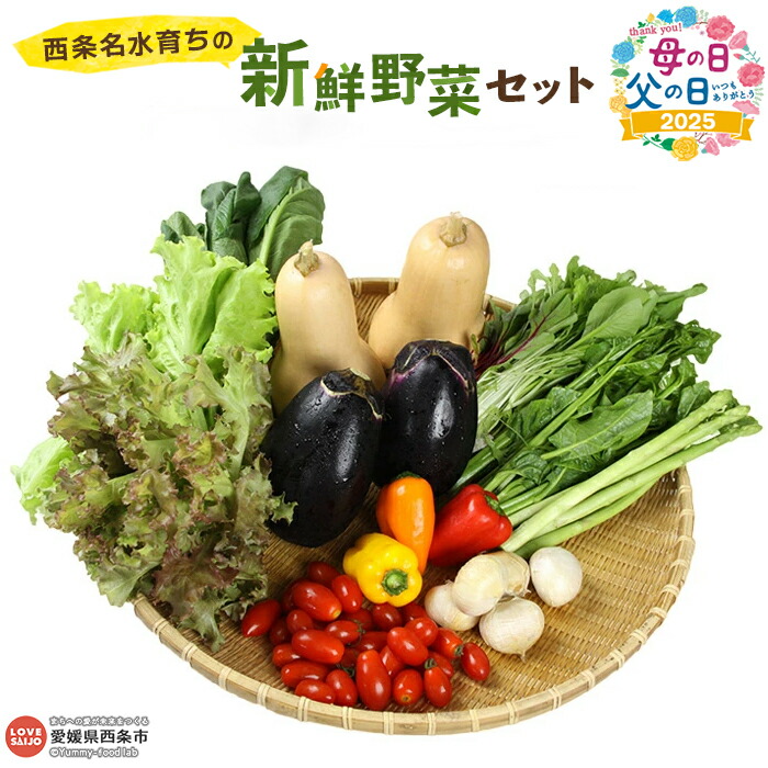 【ふるさと納税】【父の日】＜西条名水育ちの新鮮野菜セット＞※ご希望の配送時期をお選びください。（旬のお野菜セット） やさい 詰め合わせ 産地直送 おまかせ お楽しみ 愛媛県 西条市【冷蔵】
