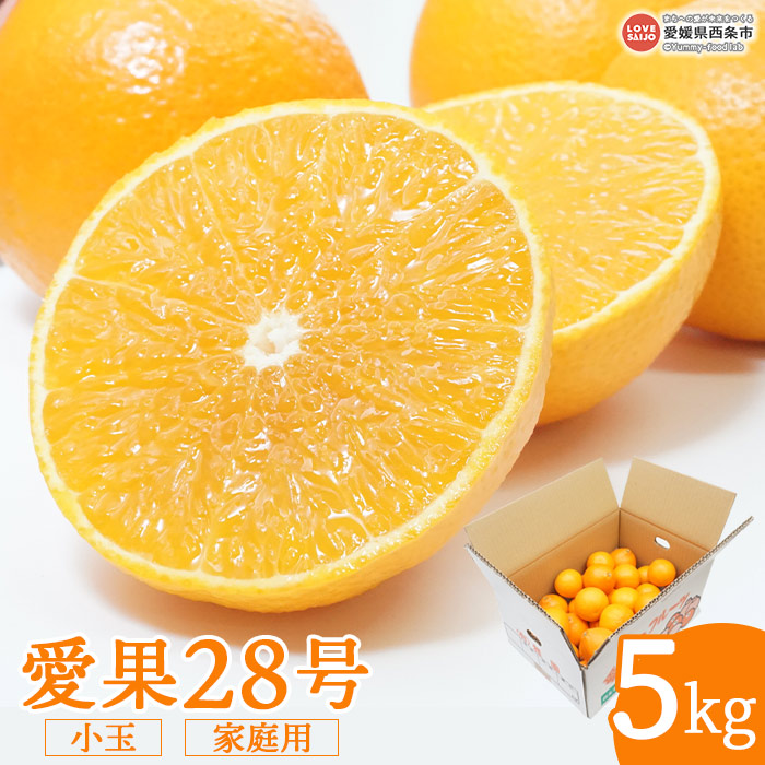 訳あり<愛果28号 5kg 小玉 家庭用> ※2022年12月上旬〜12月下旬迄に順次出荷します。 みかん 柑橘 愛媛果試第28号 果物 フルーツ 愛媛県 西条市