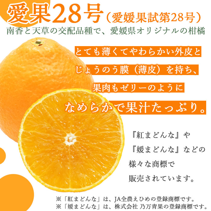 日本全国送料無料 訳あり 愛果28号 5kg 小玉 家庭用 22年12月上旬 12月下旬迄に順次出荷します みかん 柑橘 愛媛果試第28号 果物 フルーツ 愛媛県 西条市 Smartpipe Com Br 日本全国送料無料 訳あり 愛果28号 5kg 小玉 家庭用 22年12月上旬 12月下旬迄に順次出荷します みかん 柑橘 愛媛果試第28号 果物 フルーツ 愛媛県 西条市 Smartpipe Com Br