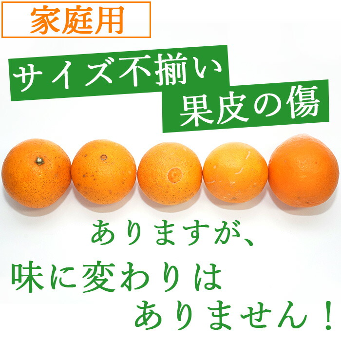日本全国送料無料 訳あり 愛果28号 5kg 小玉 家庭用 22年12月上旬 12月下旬迄に順次出荷します みかん 柑橘 愛媛果試第28号 果物 フルーツ 愛媛県 西条市 Smartpipe Com Br 日本全国送料無料 訳あり 愛果28号 5kg 小玉 家庭用 22年12月上旬 12月下旬迄に順次出荷します みかん 柑橘 愛媛果試第28号 果物 フルーツ 愛媛県 西条市 Smartpipe Com Br