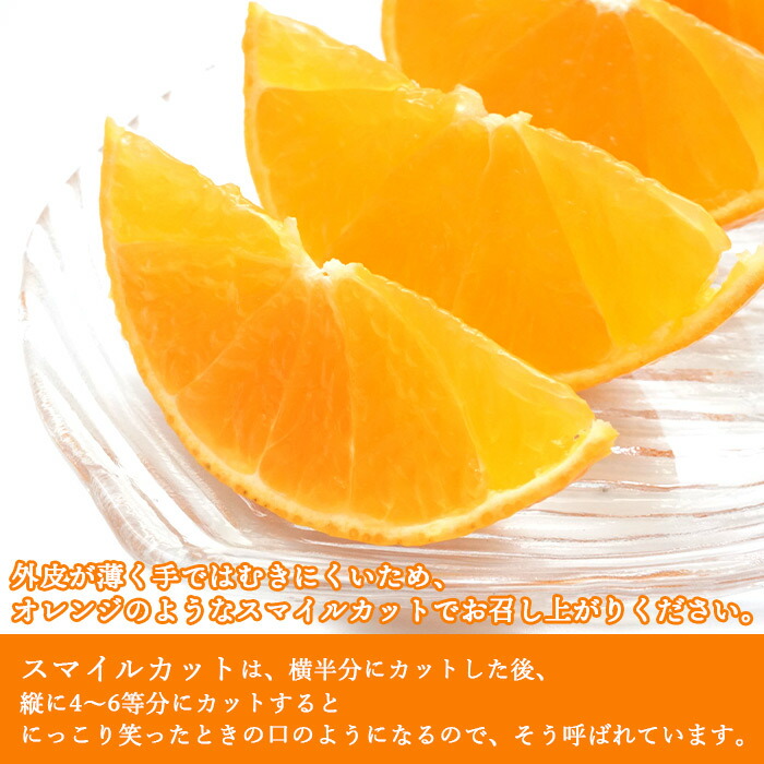 日本全国送料無料 訳あり 愛果28号 5kg 小玉 家庭用 22年12月上旬 12月下旬迄に順次出荷します みかん 柑橘 愛媛果試第28号 果物 フルーツ 愛媛県 西条市 Smartpipe Com Br 日本全国送料無料 訳あり 愛果28号 5kg 小玉 家庭用 22年12月上旬 12月下旬迄に順次出荷します みかん 柑橘 愛媛果試第28号 果物 フルーツ 愛媛県 西条市 Smartpipe Com Br
