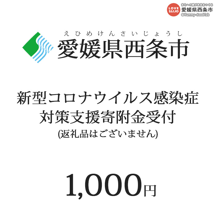 県 コロナ ウイルス 新型 愛媛