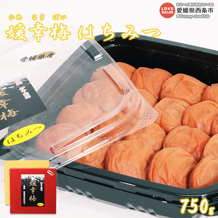 【ふるさと納税】＜媛幸梅 はちみつ 750g＞ 梅干し うめぼし ウメボシ 減塩 蜂蜜 ハチミツ 南高梅 国産 佐伯食品 愛媛県 西条市 【常温】『翌月末までに順次出荷予定』 11,250円