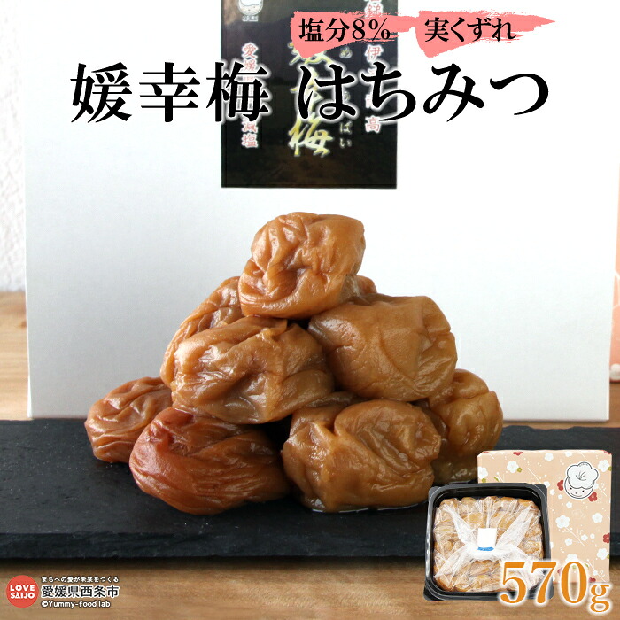 【ふるさと納税】＜媛幸梅 はちみつ 実くずれ 570g＞ ※翌月末迄に順次出荷 梅干 うす塩 はちみつ 南高梅 佐伯食品 愛媛県 西条市 【常温】