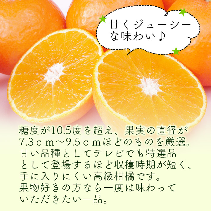 愛媛県オリジナル品種 紅まどんな 3kg 22年12月の発送です みかん フルーツ マドンナ 愛媛果試第28号 愛媛県 東予園芸農業協同組合 果物 柑橘 西条市 注目の 3kg 愛媛県オリジナル品種 紅まどんな 3kg 22年12月の発送です みかん フルーツ マドンナ 愛媛果試第28号 愛媛県 東予園芸農業協同組合 果物 柑橘 西条市 注目の 3kg