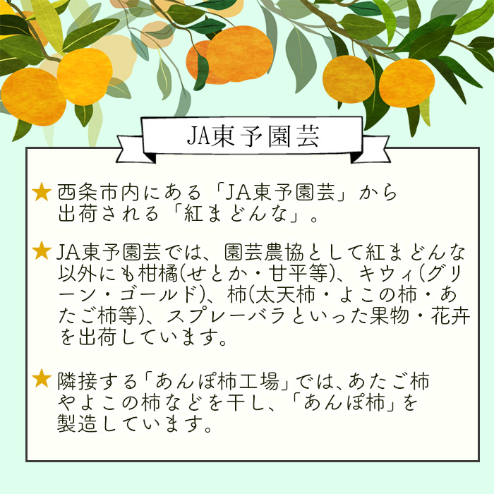 愛媛県オリジナル品種 紅まどんな 3kg 22年12月の発送です みかん フルーツ マドンナ 愛媛果試第28号 愛媛県 東予園芸農業協同組合 果物 柑橘 西条市 注目の 3kg 愛媛県オリジナル品種 紅まどんな 3kg 22年12月の発送です みかん フルーツ マドンナ 愛媛果試第28号 愛媛県 東予園芸農業協同組合 果物 柑橘 西条市 注目の 3kg