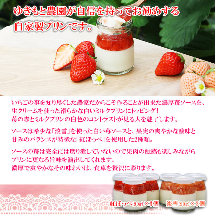 贈与 濃厚ないちご味 2種類の紅白苺ソース農果プリン 90g 6個 翌月末迄に順次出荷します イチゴ ぷりん 紅ほっぺ 淡雪 あわゆき ミルク みるく ゆきもと農園 愛媛県 西条市 1oficioverde Com Br