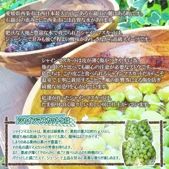 私の期間の前の日は肥沃です 私の期間の前の日は肥沃です