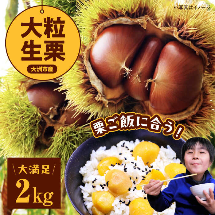 【ふるさと納税】【先行予約】【9月中旬から順次発送】大粒 生栗 2kg  | 人気 おすすめ ランキング おいしい 甘い 栗 クリ くり くだもの 果物 フルーツ ふるーつ 大洲市/あじさい農園[AGAE008]  20000 20000円 以上