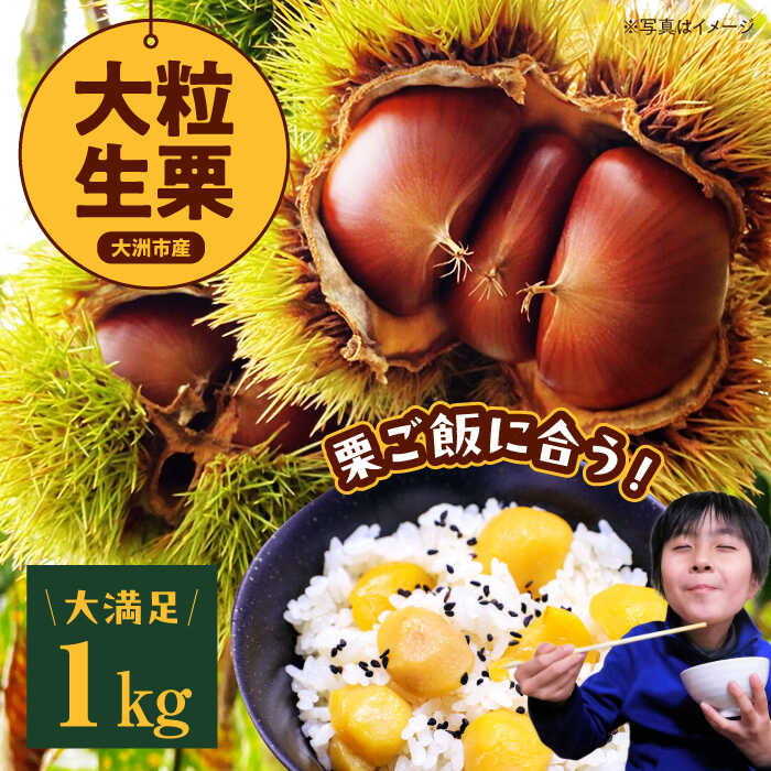 【ふるさと納税】【先行予約】【9月中旬から順次発送】大粒 生栗 1kg  | 人気 おすすめ ランキング おいしい 甘い クリ くり くだもの 大洲市/あじさい農園[AGAE009]  10000 10000円 以上
