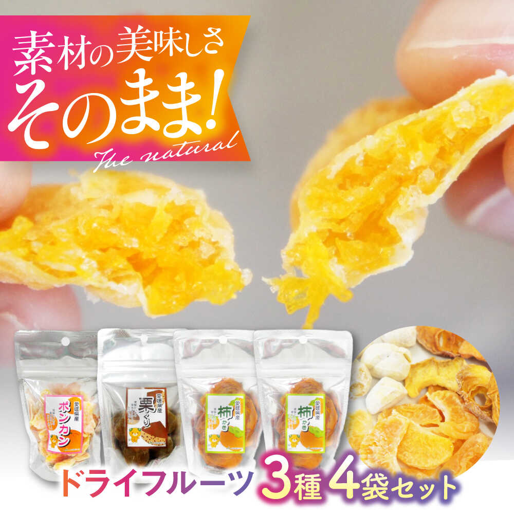 【ふるさと納税】ドライフルーツ 3種（ポンカン 栗 柿）4袋セット 詰め合わせ 食べ比べ 愛媛県大洲市/愛媛たいき農業協同組合加工部[AGAQ004] ドライフルーツ フルーツ 果物 くだもの おかし お菓子 おやつ ヘルシー 健康 おすすめ 人気 お取り寄せ 送料無料 大洲市