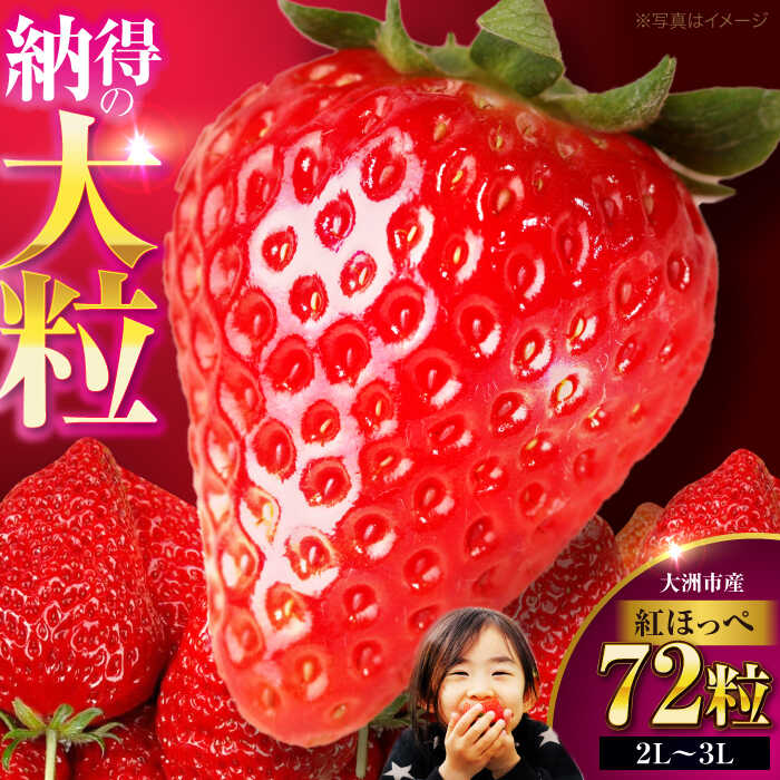 いちごページ　11/24以降 agar003.jpg