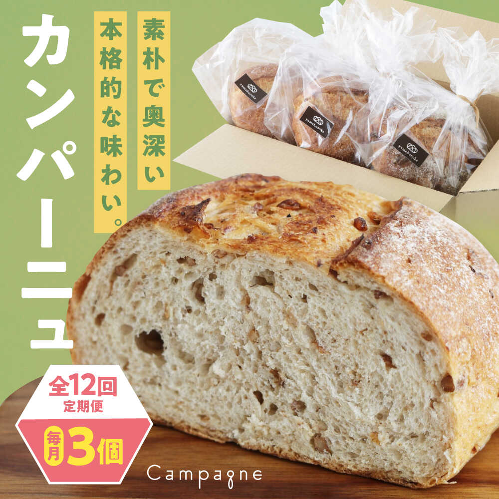 【ふるさと納税】カンパーニュ 【全12回定期便】【冷凍】3種セット (プレーン・いちじく・五穀) おすすめ 人気 定期便 パン 詰め合わせ 食べ比べ 天然酵母 ベーカリー ハードパン 愛媛県大洲市/株式会社アライ 冷凍パン ハードパン 食事パン 朝食 ベーカリー 冷凍[AGAY053]