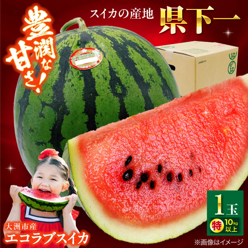 【ふるさと納税】スイカ【先行予約】【2026年5月下旬から順次発送】愛媛県産 エコラブスイカ 特1玉 愛媛県大洲市/株式会社フジ アグリフーズ[AGBA017] スイカ すいか 西瓜 果物 フルーツ 新鮮 愛媛県産 大洲市産 産地直送 おすすめ 人気 お取り寄せ 送料無料 贈答 ギフト