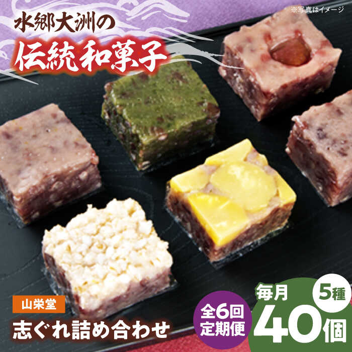【ふるさと納税】志ぐれ【全6回定期便】和菓子 山栄堂の志ぐれ詰め合わせＡセット（2箱） 定期便 食べ比べ 栗 くり 愛媛 伝統菓子 おやつ おかし お菓子 和菓子 スイーツ デザート お茶菓子 銘菓 志ぐれ しぐれ おすすめ 人気 お取り寄せ 大洲市/大洲市物産協会[AGBM054]