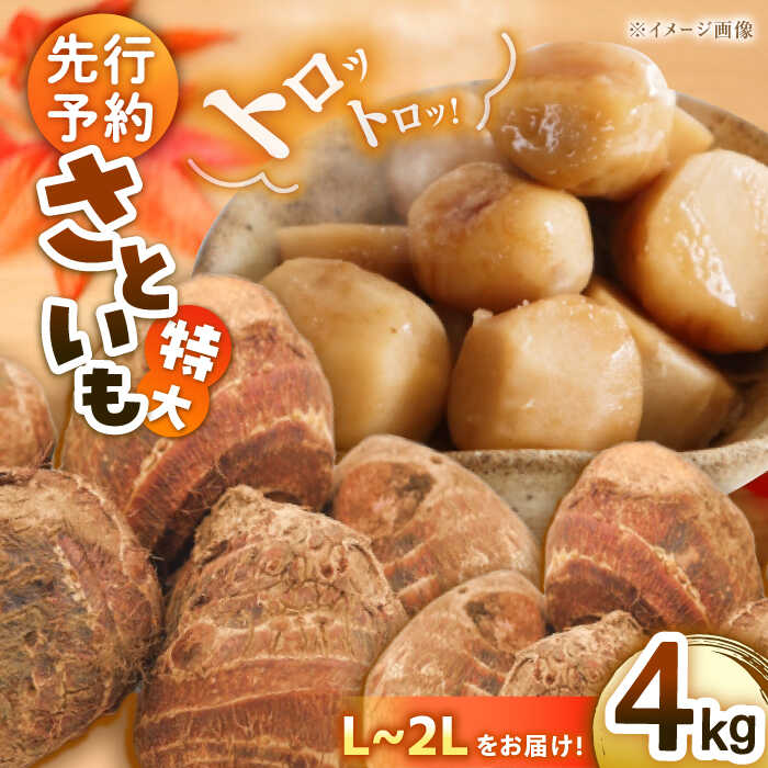 【ふるさと納税】里芋【先行予約】【2026年9月上旬より順次発送】トロトロ さといも 4kg （ L から 2L サイズ） 大洲市/沢井青果[AGBN003] 先行予約 里芋 サトイモ さといも 料理 いもたき 芋炊き 野菜 やさい 新鮮 産地直送 おすすめ 人気 お取り寄せ 送料無料 贈答 ギフト