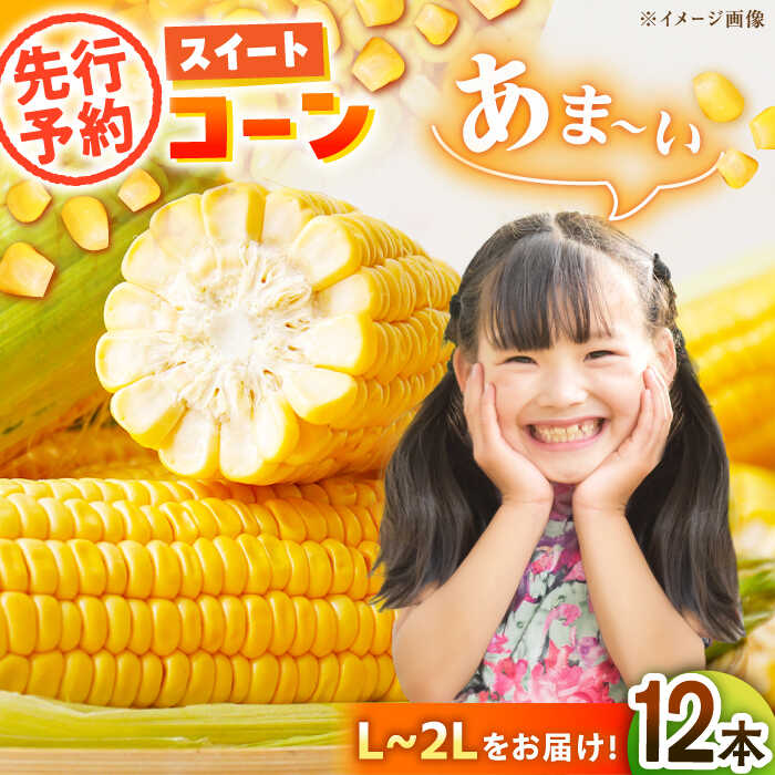 【ふるさと納税】【先行予約】【6月上旬より順次発送】あま～いスイートコーン（L～2Lサイズ）12本入り | 人気 おすすめ ランキング おいしい 大洲市/沢井青果有限会社[AGBN007] 10000 10000円 以上