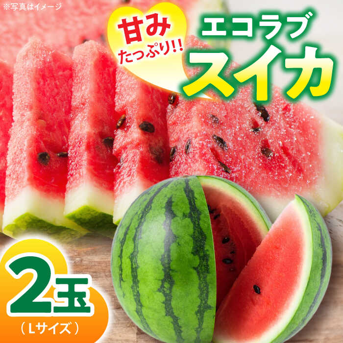 楽天市場】【ふるさと納税】【先行予約】【6月上旬から順次発送 楽天市場】【ふるさと納税】【先行予約】【6月上旬から順次発送