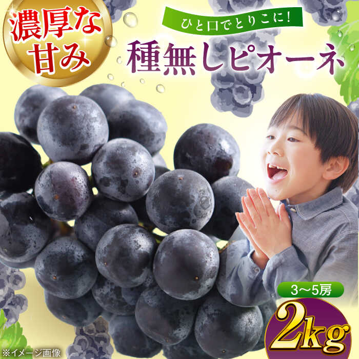 【ふるさと納税】ぶどう【先行予約】【2026年8月下旬より順次発送】種無し ピオーネ 2kg （3～5房） 大洲市/沢井青果[AGBN014] ぶどう ブドウ 葡萄 果物 くだもの フルーツ スイーツ デザート お菓子作り トッピング 愛媛県産 産地直送 おすすめ 人気 お取り寄せ 送料無料