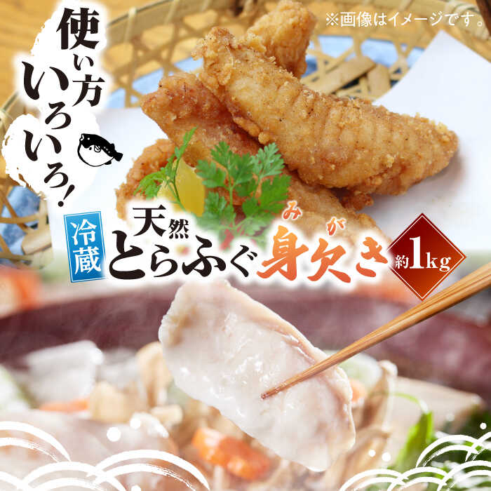 【ふるさと納税】とらふぐ【先行予約】【2026年10月上旬から順次配送】 天然 とらふぐ 身欠き 1匹 （約 1kg ） 大洲市/天然活魚 濱 屋[AGBP003] おいしい フグ 河豚 魚介 ふぐ お取り寄せ トラフグ 愛媛県産 産地直送 おすすめ 人気 お取り寄せ 送料無料 贈答 ギフト｜愛媛県大洲市 41,600円