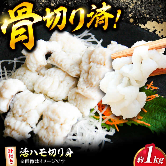 【ふるさと納税】鱧【先行予約】【2026年5月上旬から順次発送】活きハモの骨切り 3人前（約1kg） | 人気 おすすめ ランキング おいしい はも 鱧 肝 蒲焼 湯引き 天ぷら 唐揚げ しゃぶしゃぶ 鍋 おつまみ 酒の肴 便利 海鮮 旬 魚介類 大洲市/天然活魚 濱屋[AGBP004]