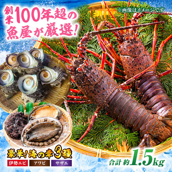 【ふるさと納税】伊勢海老セット 天然 魚介 3種 セット！( イセエビ 約 300ｇ/アワビ 約 200g /サザエ 約 1kg ) | 人気 おすすめ ランキング おいしい 魚介類 魚介セット 高級 食材 あわび 鮑 さざえ 刺身 お造り 海鮮 大洲市/天然活魚 濱 屋[AGBP005] 50000 50000円 以下