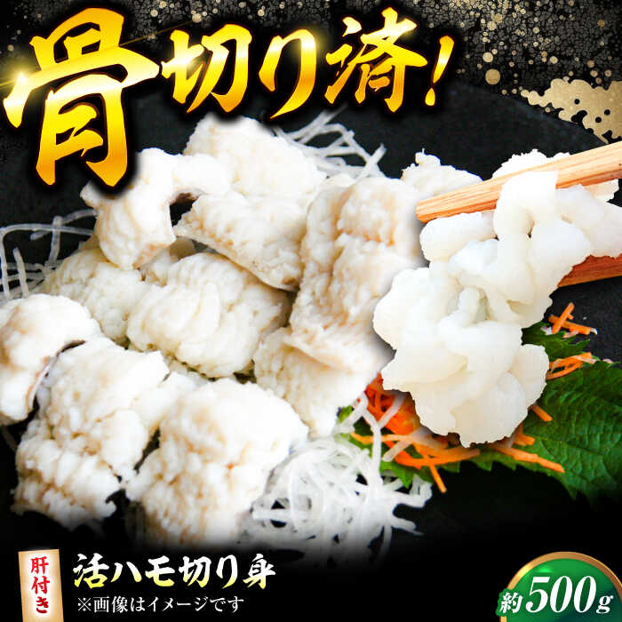 【ふるさと納税】鱧【先行予約】【2026年5月上旬から順次発送】 活きハモの骨切り 2人前（約500g）| 人気 おすすめ ランキング おいしい はも 鱧 肝 蒲焼 湯引き 天ぷら 唐揚げ しゃぶしゃぶ 鍋 おつまみ 海鮮 旬 魚介類 大洲市/天然活魚 濱屋[AGBP006] 10000 10000円 以上