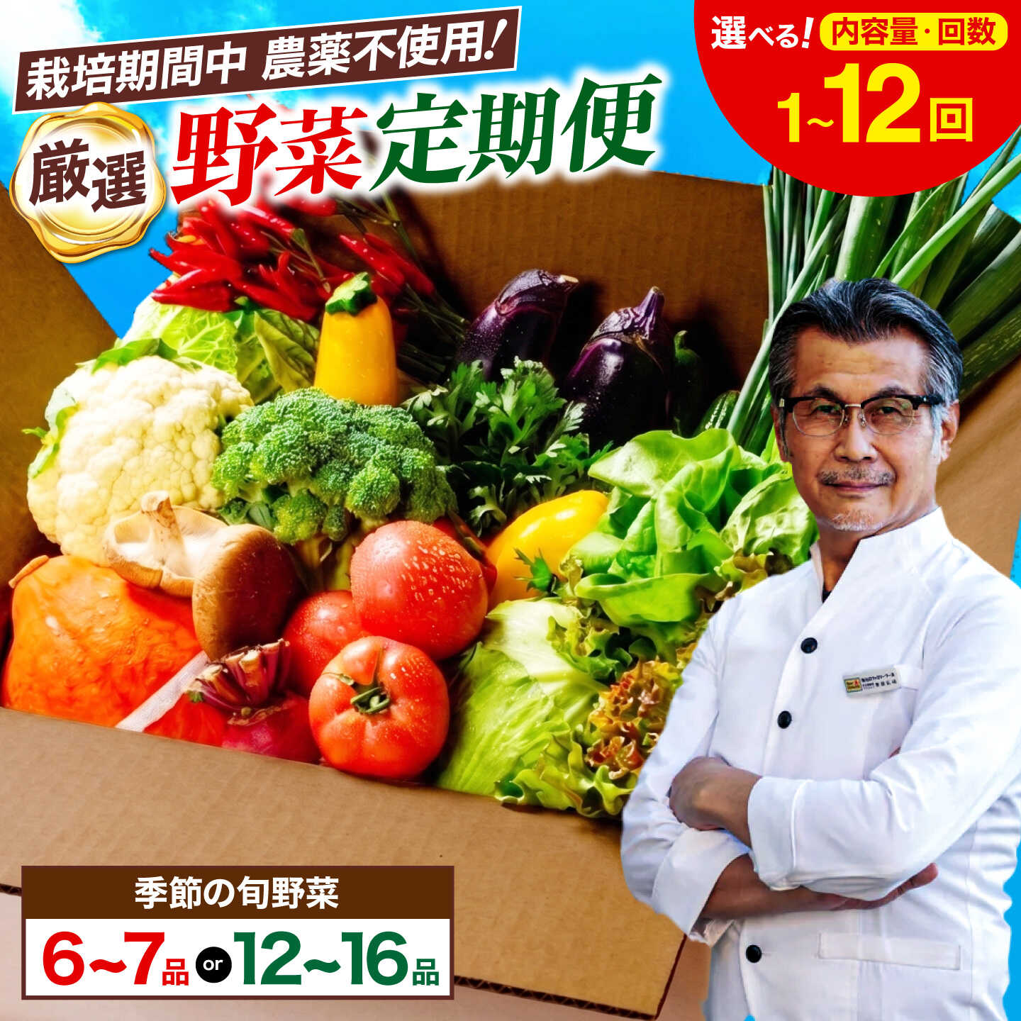 【ふるさと納税】 野菜定期便 【選べる容量】【選べる回数】 野菜セット 単身用（6-7品）/ 家庭用（12-16品） 単品 /定期便 | 人気 おすすめ おいしい 3ヶ月 6ヶ月 12ヶ月 お試しセット おまかせセット 食材セット 旬野菜 大洲市/ヒロファミリーフーズ [AGBX003]