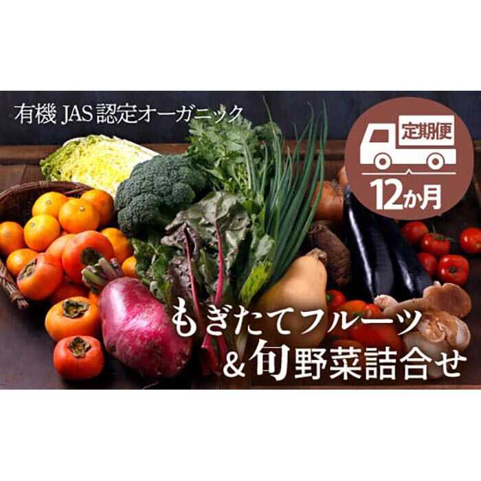 【ふるさと納税】【全12回定期便】 野菜セット × フルーツセット   | 人気 おすすめ ランキング おいしい  果物 12ヶ月 大洲市/ヒロファミリーフーズ [AGBX008] 300000 30万円 以下