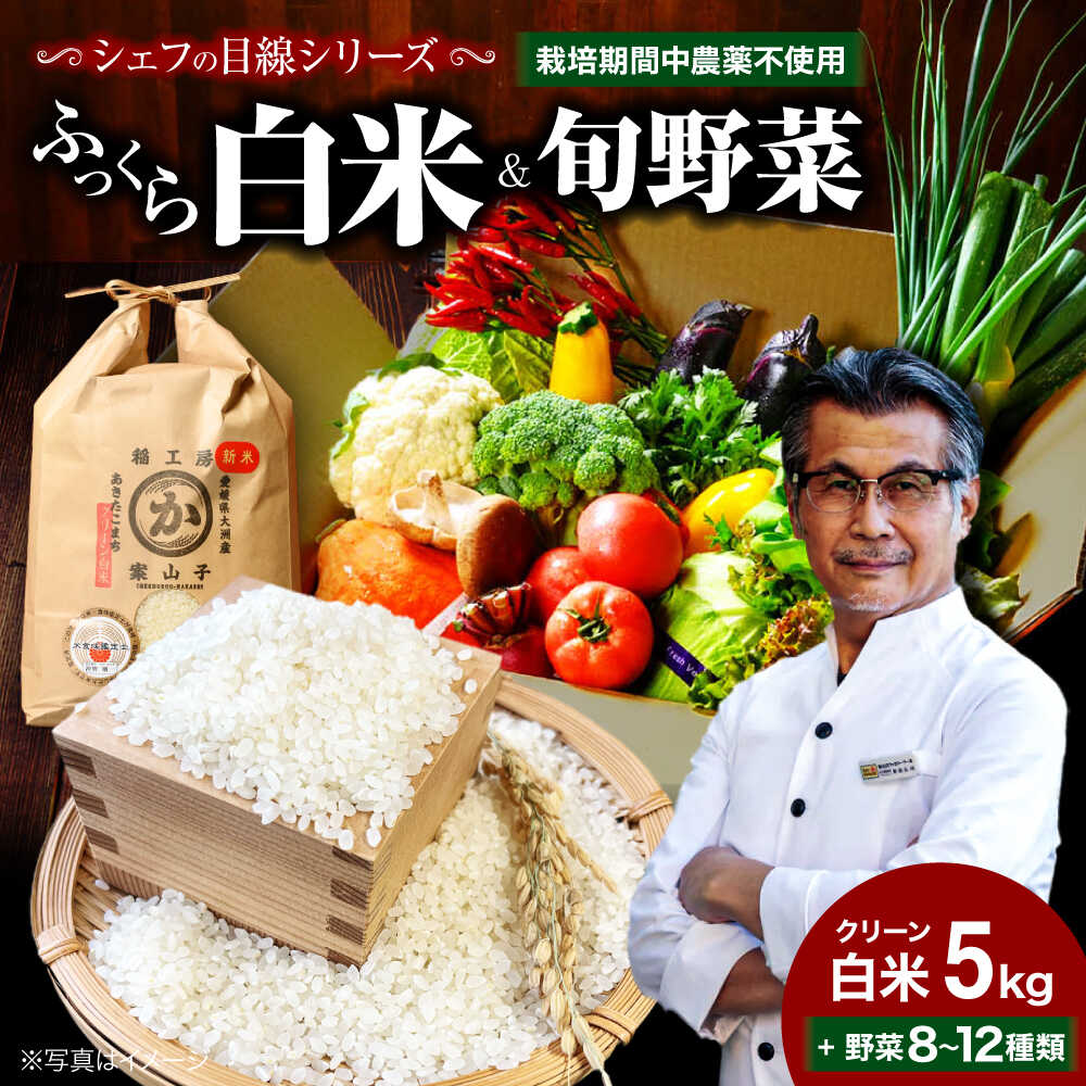 【ふるさと納税】 旬 の 野菜 セット × 白米 5kg 詰め合わせ | 人気 おすすめ ランキング おいしい   農薬 不使用 野菜 白米 お米 新鮮 大洲市/ヒロファミリーフーズ [AGBX009] 20000 20000円 以上