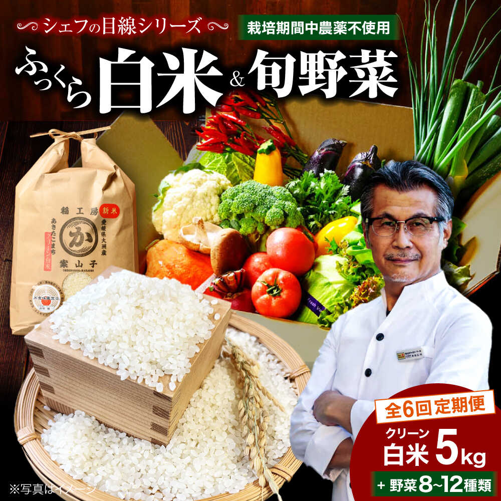【ふるさと納税】【全6回定期便】旬の 野菜セット × 白米 | 人気 おすすめ ランキング おいしい 農薬 不使用 お米 新鮮 サラダ カレー おうちごはん 大洲市/有限会社ヒロファミリーフーズ [AGBX010] 100000 10万円 以上