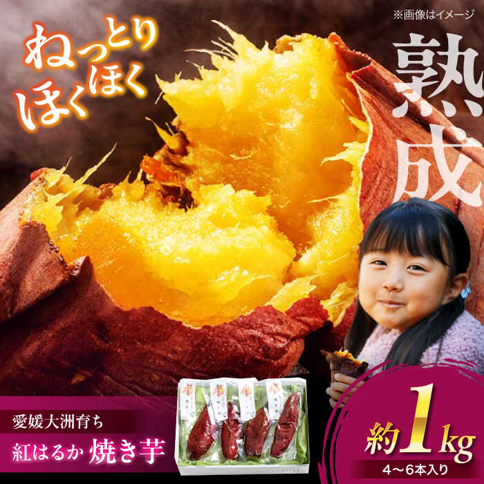 【ふるさと納税】熟成 紅はるか 焼き芋 1kg（4から6本入り） | 人気 おすすめ ランキング おいしい 甘い 冷やし さつまいも やき芋 個包装 大洲市/(有)玉井民友商店 [AGBY007]  20000 20000円 以下