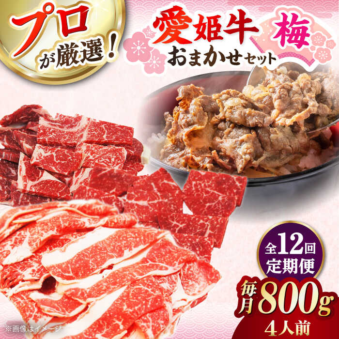 【ふるさと納税】 牛肉 【全12回定期便】「愛姫牛」店主におまかせ旬セット【梅】800g（4人前）大洲市/木村屋精肉店[AGCC059] にく 肉 お肉 牛肉 和牛 国産和牛 赤身 ブランド牛 高級 ステーキ肉 ステーキ牛肉 国産牛 愛媛県産 大洲市産 産地直送 愛姫牛 おすすめ 人気