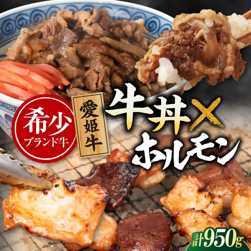 【ふるさと納税】 牛肉 【冷凍】 愛姫牛 肉屋のこだわりお惣菜セット 牛丼&times;3食とミックスホルモン&times;500g 計950g 大洲市/木村屋精肉店 [AGCC072]牛肉 和牛 牛 国産 国産和牛 愛媛県産 大洲市産 人気 おすすめ 簡単 おいしい お肉 肉 国産肉 焼肉 送料無料 お取り寄せ｜愛媛県大洲市