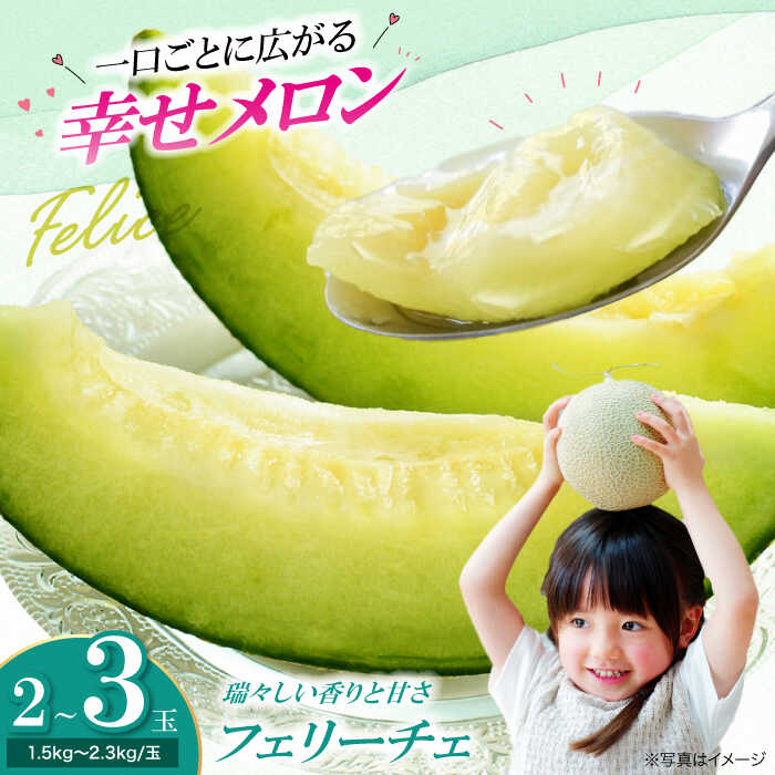 【ふるさと納税】メロン 【先行予約】【2026年6月上旬から順次発送】 フェリーチェ 2から3玉 国産 デザート スイーツ 旬 夏ギフト お中元 愛媛県 大洲市/梶原農園[AGCX002] メロンめろん 果物 くだもの フルーツ 新鮮 愛媛県産 大洲市産 おすすめ 人気
